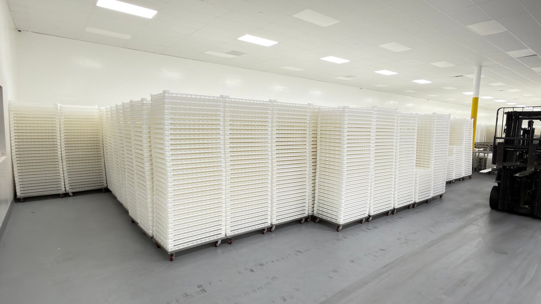 Rows of the actual white vented trays stacked in the warehouse